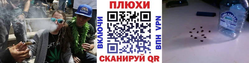 ГАШ Premium Володарск